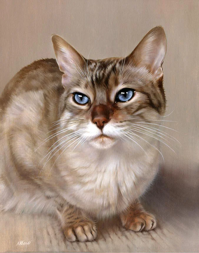 Stunning oil portrait of Tia the cat on canvas by Nicholas Beall