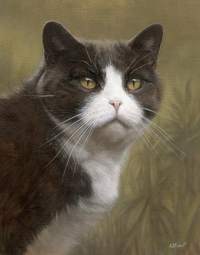 Oil portrait of Purdy, a hand-painted cat artwork by Nicholas Beall