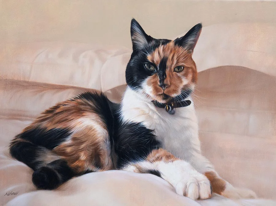 Custom oil painting of Shelly the cat by Nicholas Beall