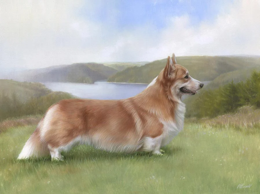 Oil painting of Luke the Corgi dog by Nicholas Beall