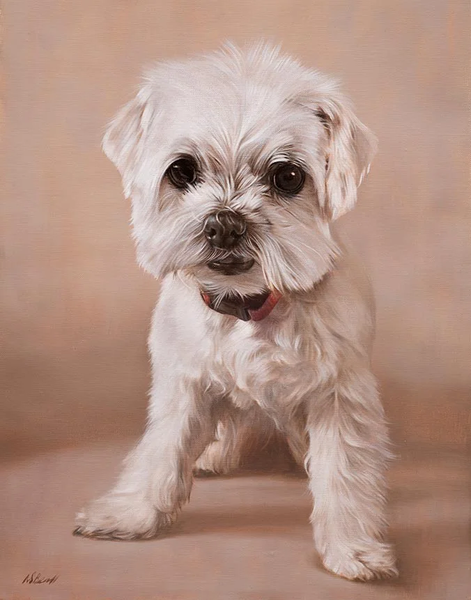 Oil painting of Paddy the dog by Nicholas Beall