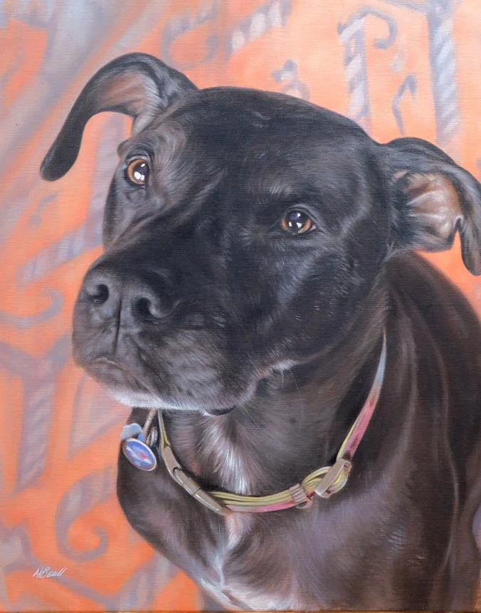 Oil portrait of Wallace the rescue dog, a wedding gift by Nicholas Beall