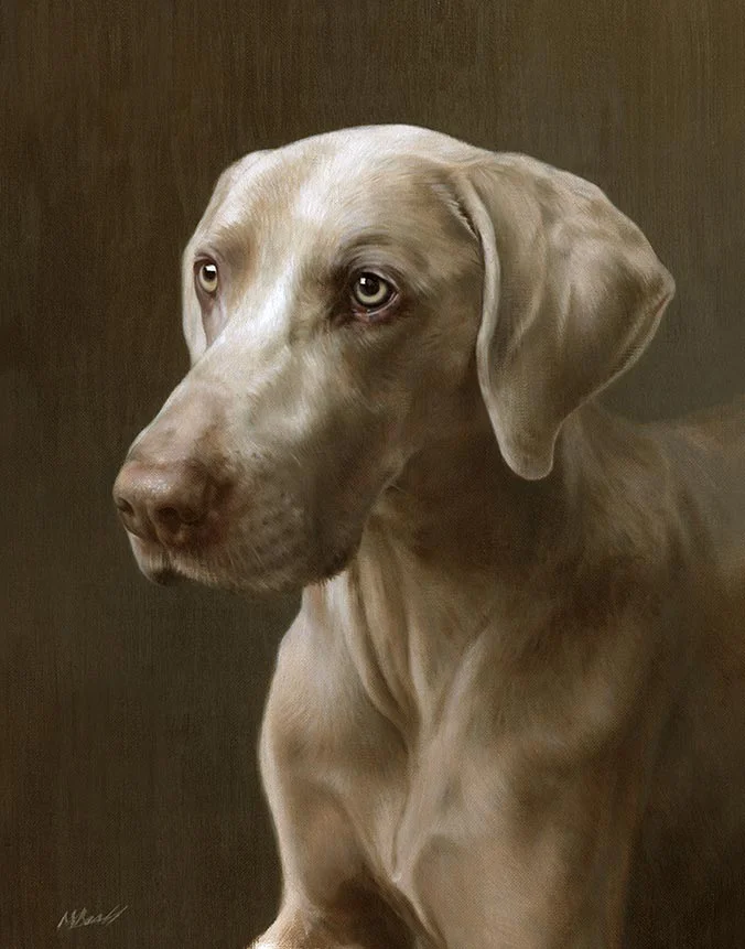 Oil portrait of Ramses the Weimaraner by Nicholas Beall, capturing his noble stance