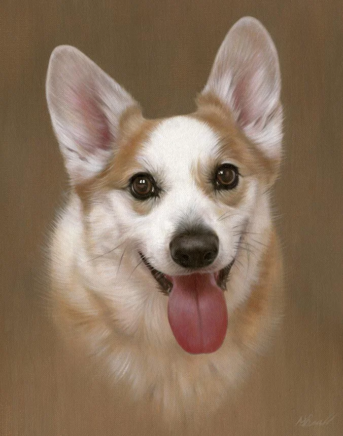 Oil portrait of Thomas the Corgi by Nicholas Beall