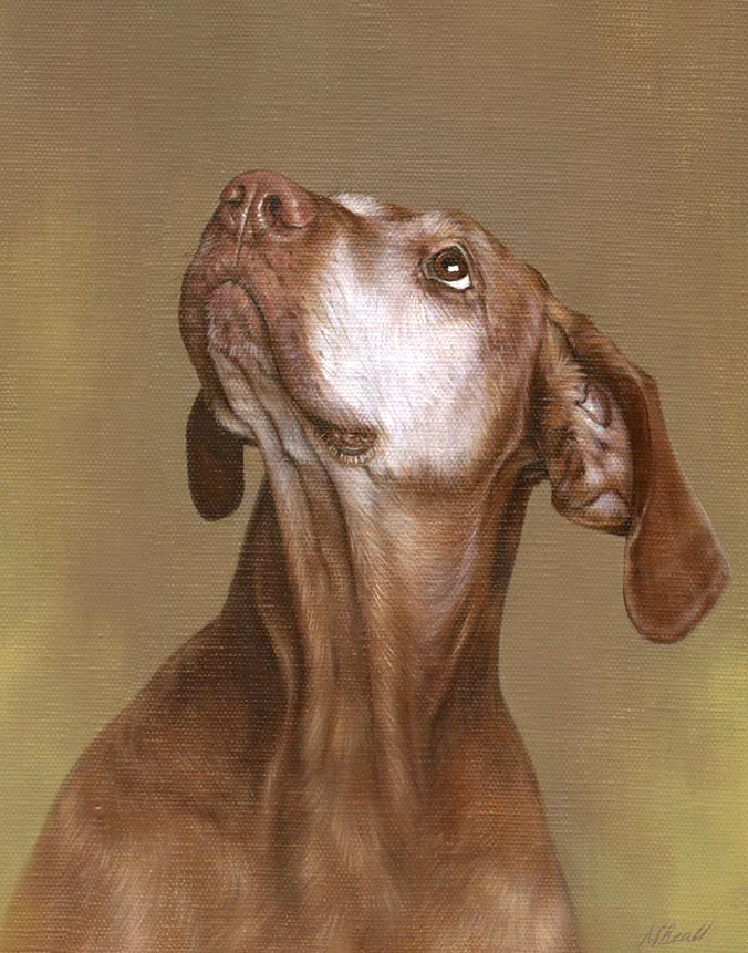 Oil portrait of Cinega, a dog, by Nicholas Beall