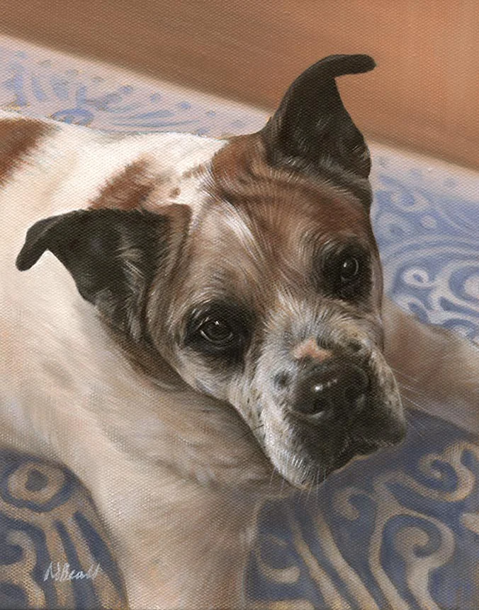 Oil portrait of Mr Bones the dog by Nicholas Beall