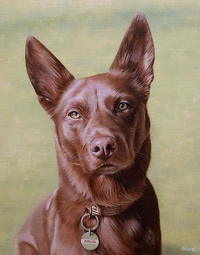 Oil painting of Marshall, a city working dog from Australia, by Nicholas Beall
