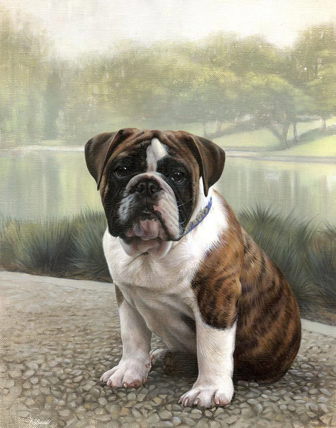 Oil painting of Otis, an English Bulldog dog, by Nicholas Beall