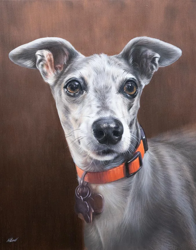 Oil painting of Spyder, an Italian Greyhound dog, by Nicholas Beall