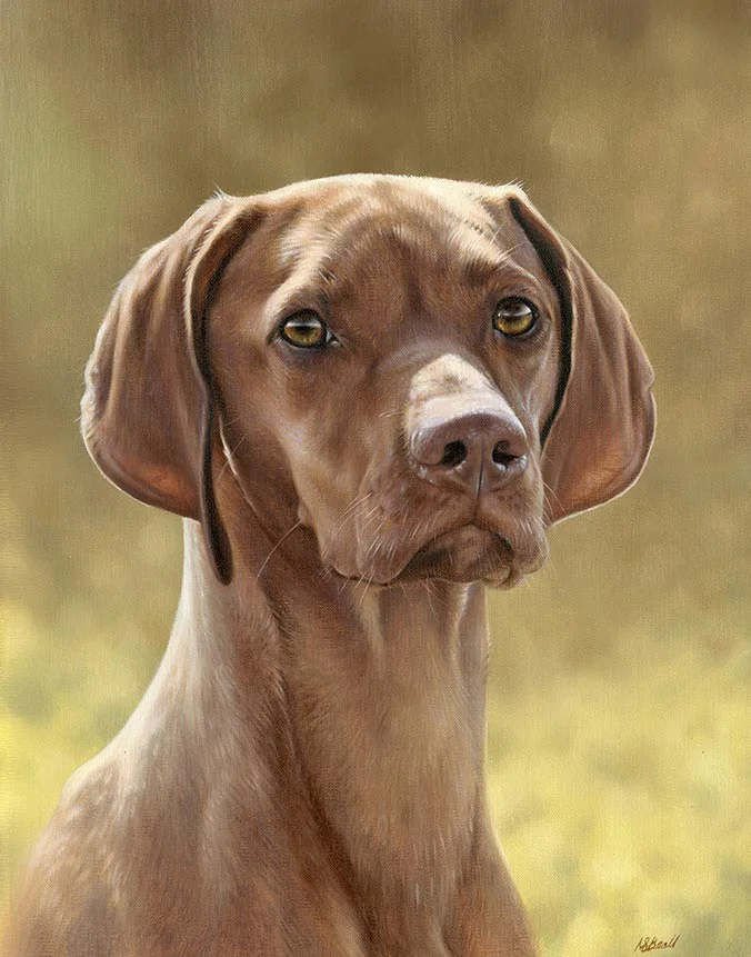 Oil painting of Hattie the Hungarian Vizsla dog by Nicholas Beall