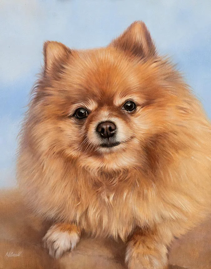 Oil painting of Boo, a Pomeranian dog, by Nicholas Beall