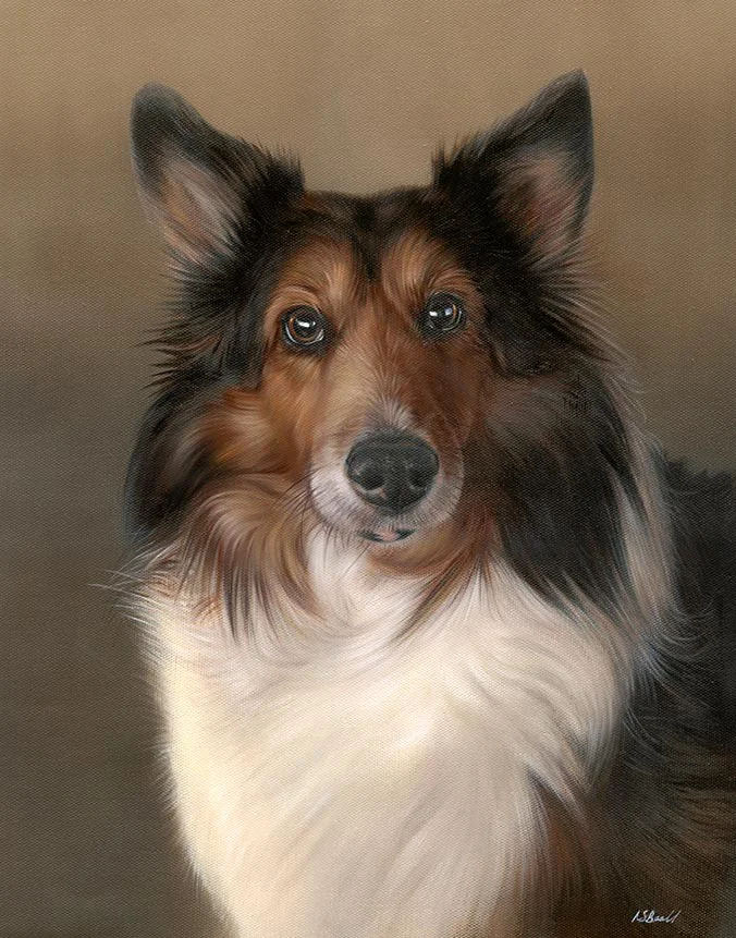 Oil painting of Joey, a Sheltie dog, by Nicholas Beall