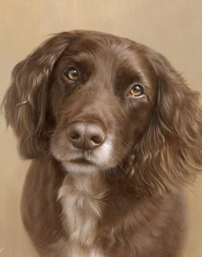 Oil painting of Wilf, a Working Cocker Spaniel dog, by Nicholas Beall