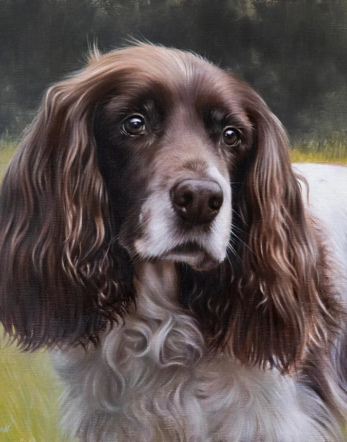 Oil painting of KitKat the Spaniel dog by Nicholas Beall