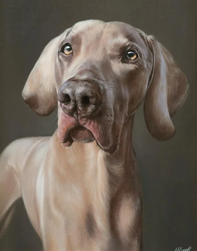 Oil painting of Keo the Weimaraner dog by Nicholas Beall