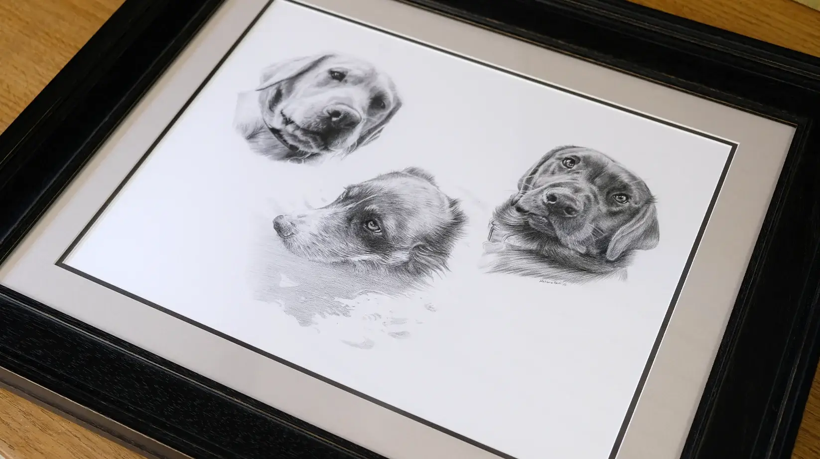 Pencil Pet Portraits Framed Advice
