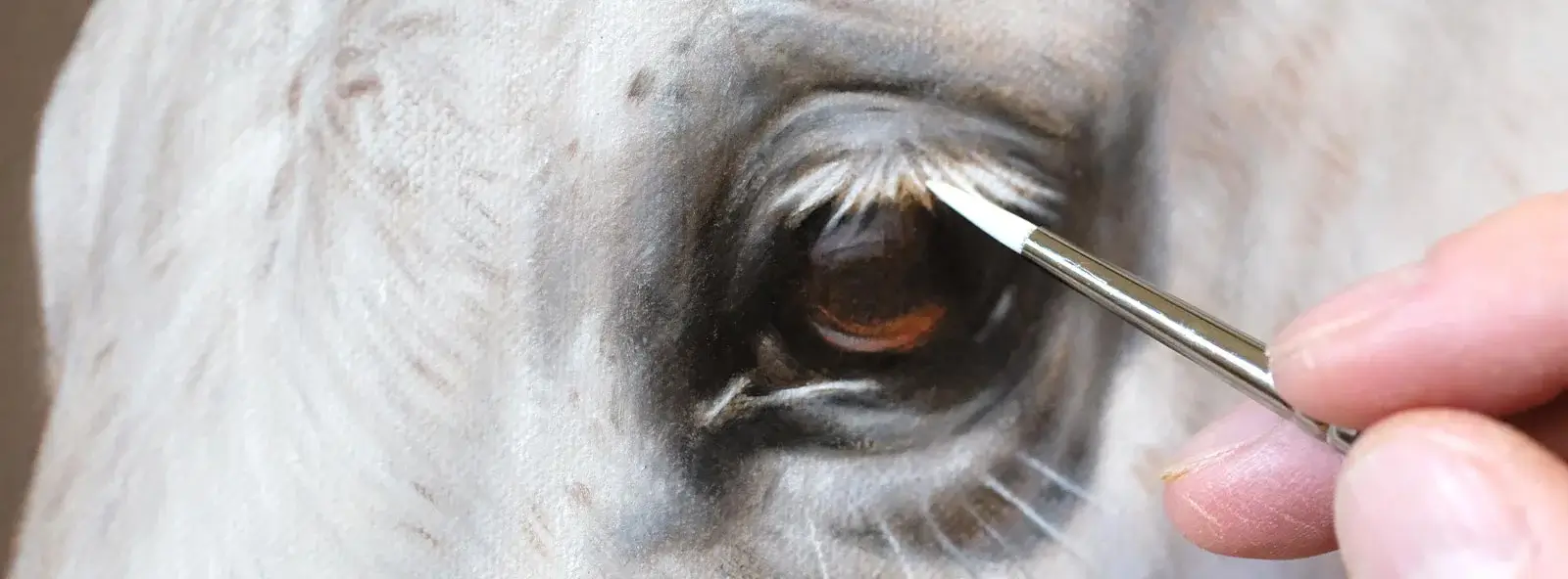 A graphic representation of the pet portrait commission process, outlining steps for clients.