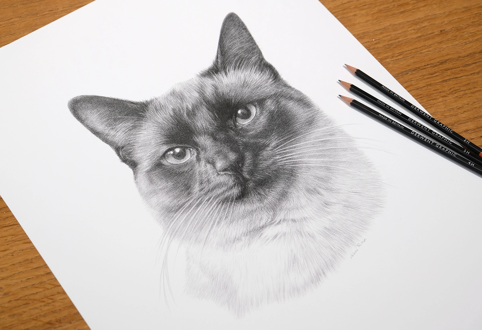 Pencil drawing for returning client in the UK by Melanie Phillips