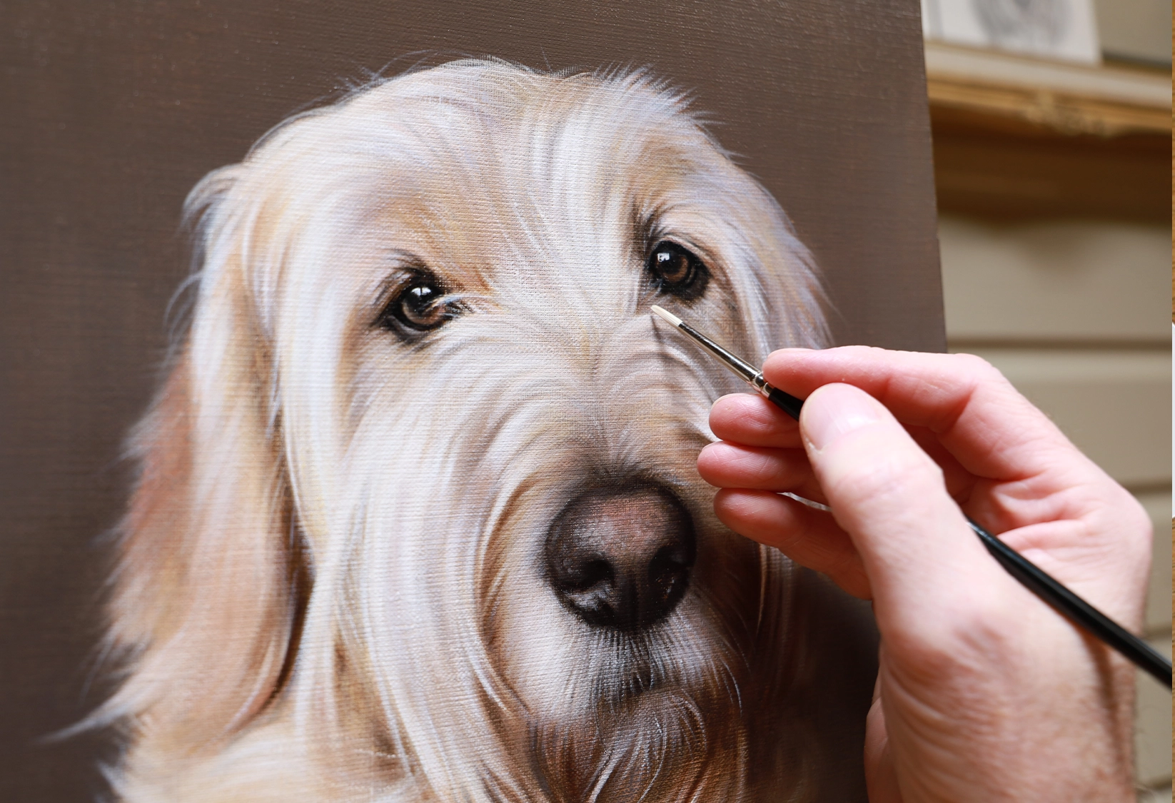 Help for clients to understand pricing for pet portraits