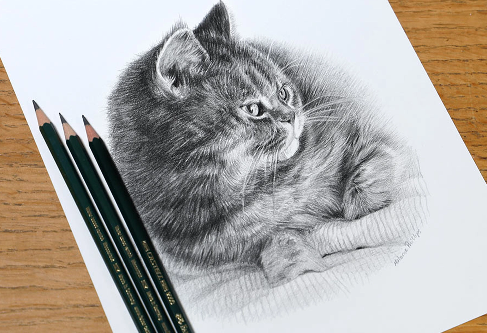 12 x 10 graphite pencil portrait for a client in Cyprus