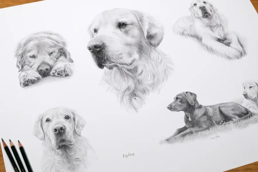 Life Story Pencil Portrait Example