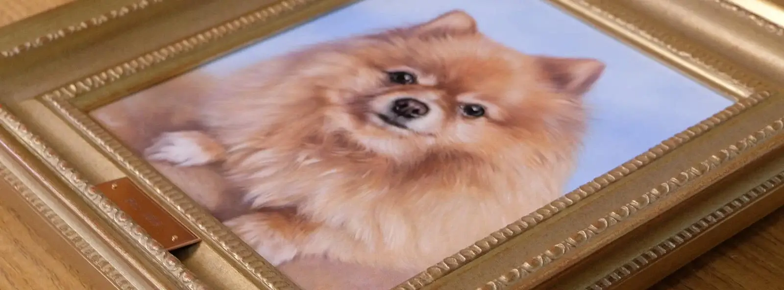 Various traditional oil pet portraits by Nicholas Beall, including dogs and cats