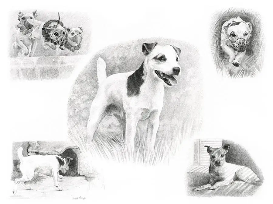 Dean's charming Life Story drawing highlighting this lovable Jack Russell's unique character