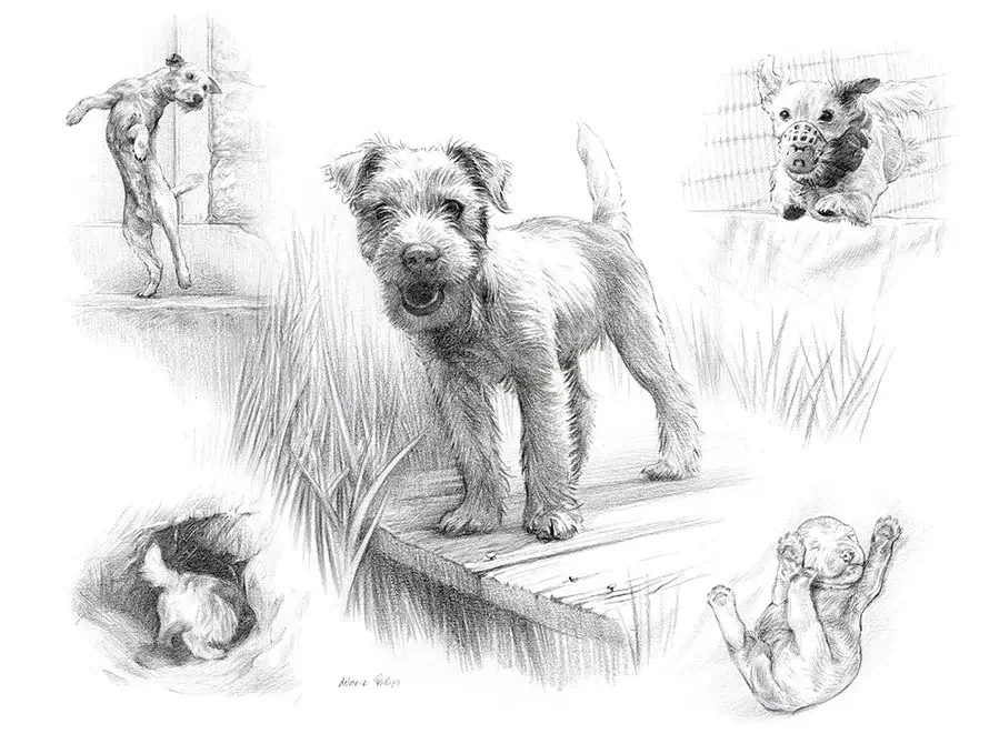 Holden's spirited Life Story drawing capturing this lively Jack Russell's playful nature