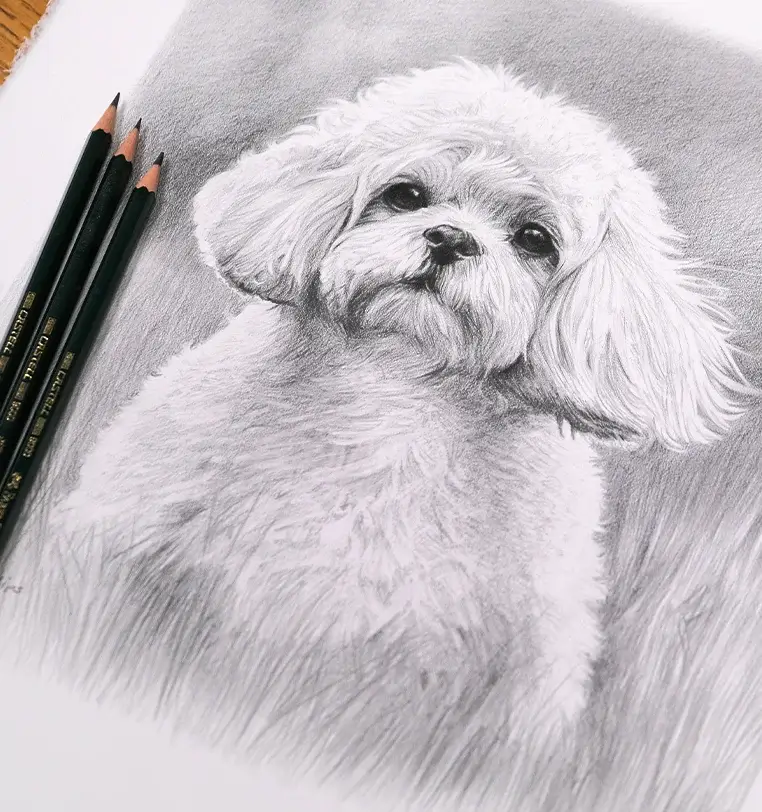 Memorial pet portrait in pencil creating lasting memory, precious tribute by Melanie Phillips