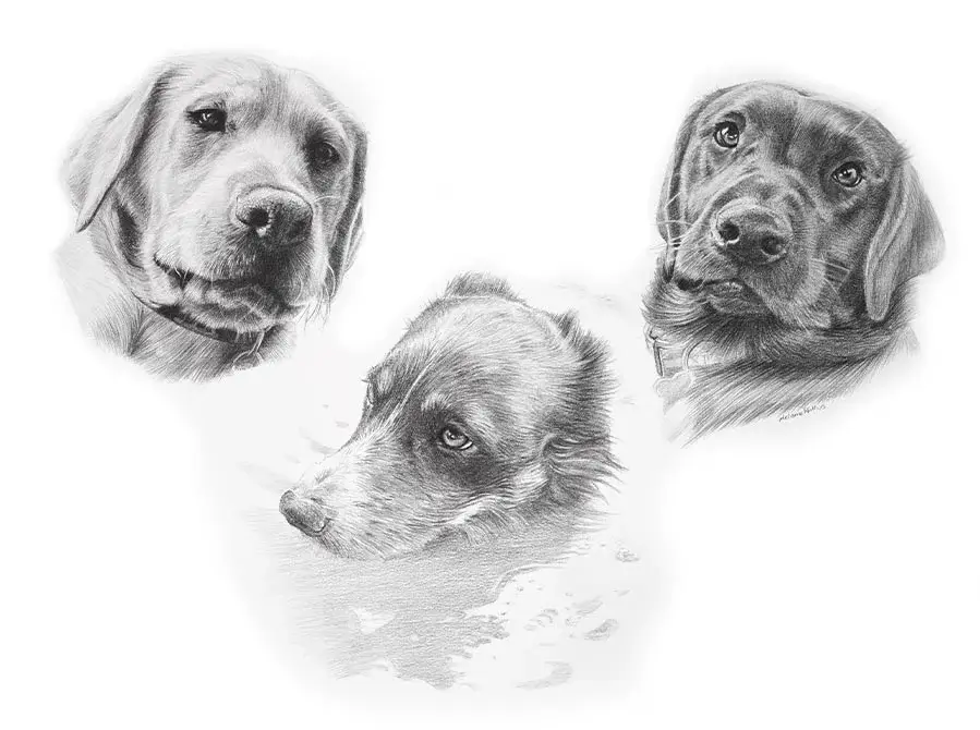 Pencil portrait combining Winston, Alfie, and Ziggy, three dogs, in one detailed drawing.