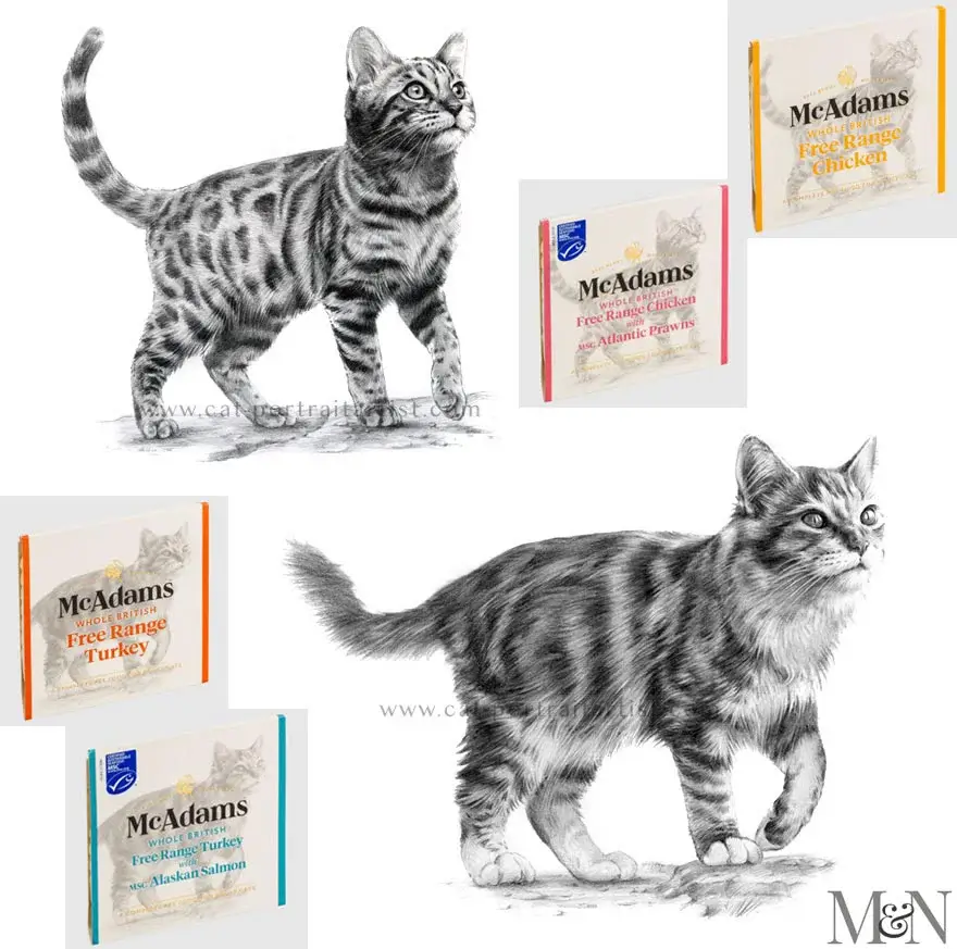 Professional illustrations of two cats in a slightly looser pencil style, used for McAdams pet food packaging designs.