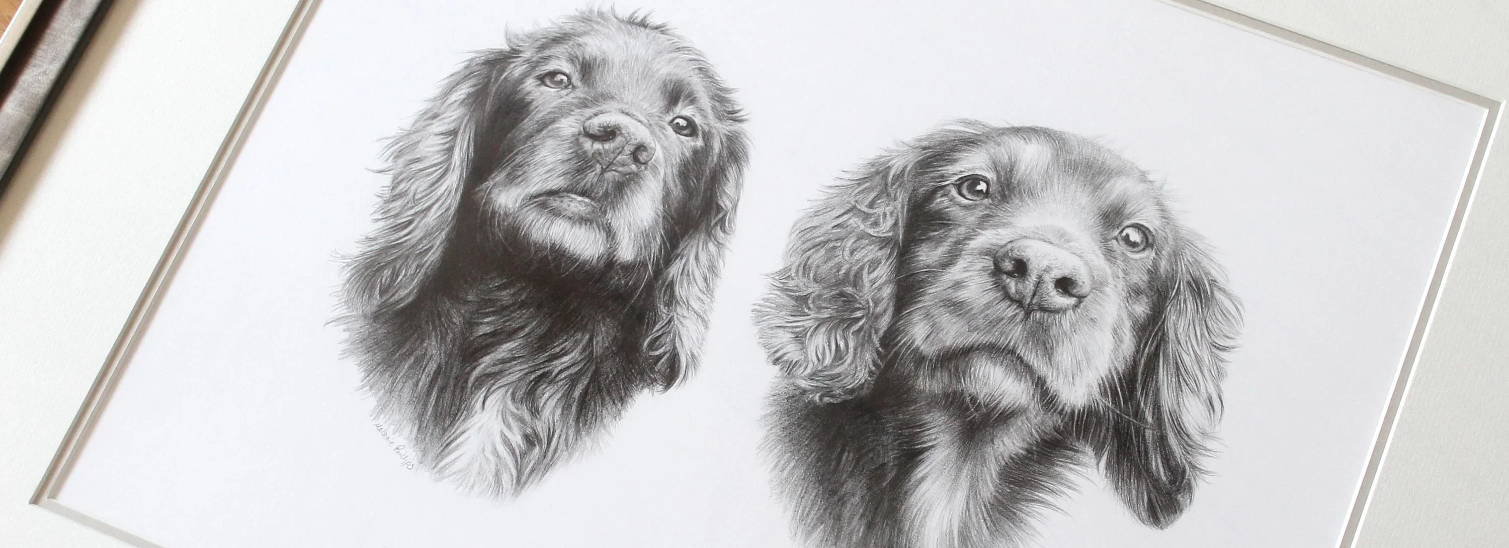 Hand-drawn pencil portraits by Melanie Phillips.