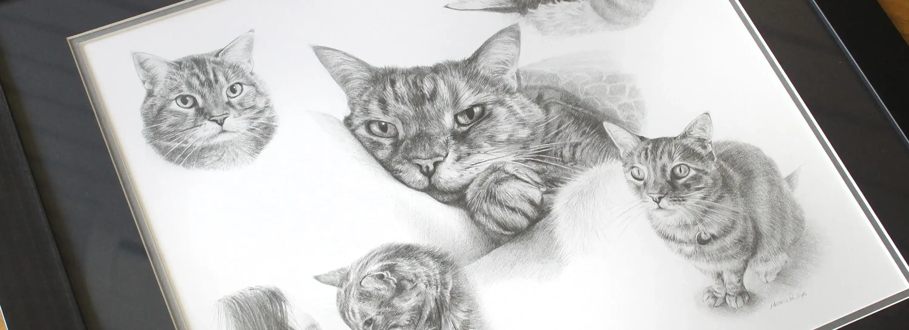 Hand-drawn pencil portraits by Melanie Phillips.