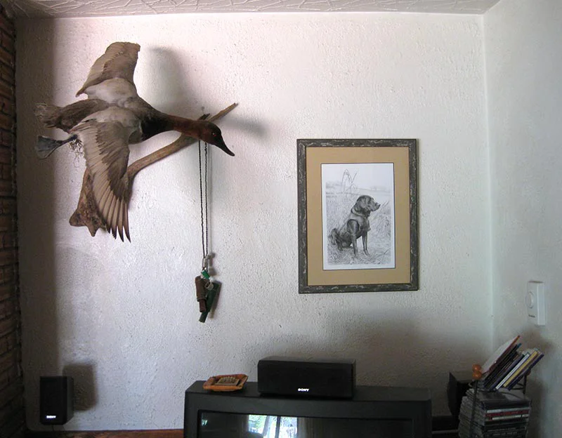 Client Craig's testimonial for Kirby's portrait