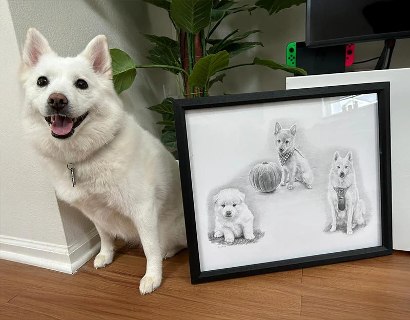 Client Josh's testimonial for his pet portrait