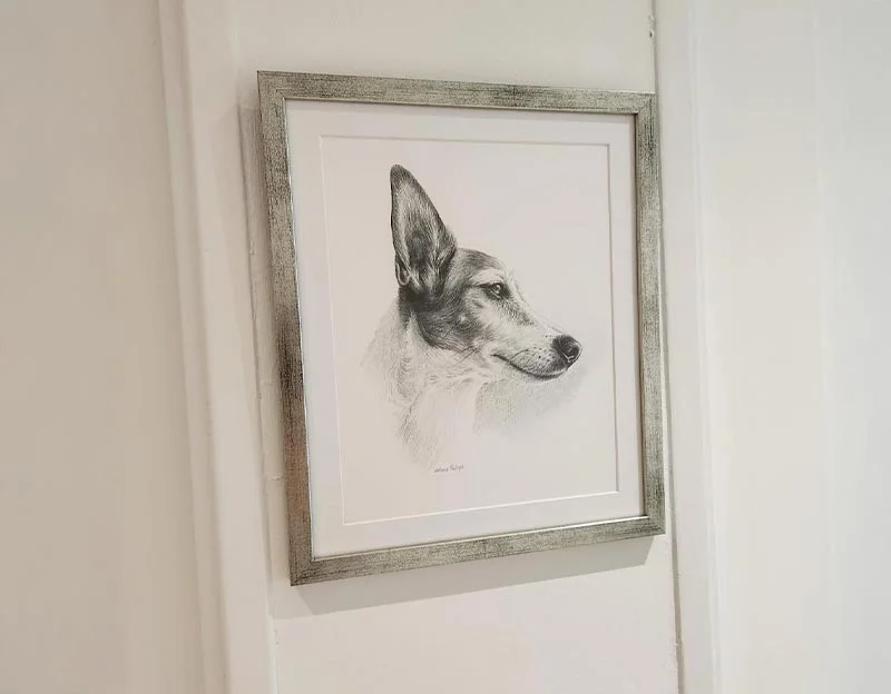 Client Thaddeus's testimonial for Dodge's portrait