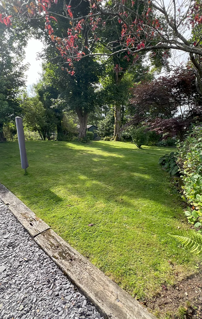 Looking down towards the bottom corner of the garden where the chikens live.