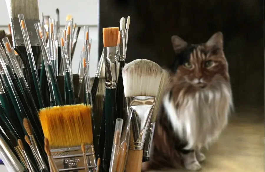 Brush collection for oil painting