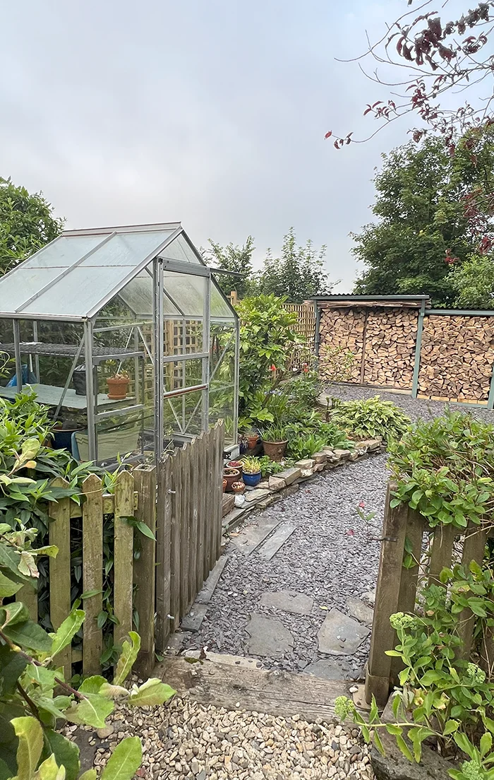 A view of the working greenhouse and filled woodshed in our cottage garden