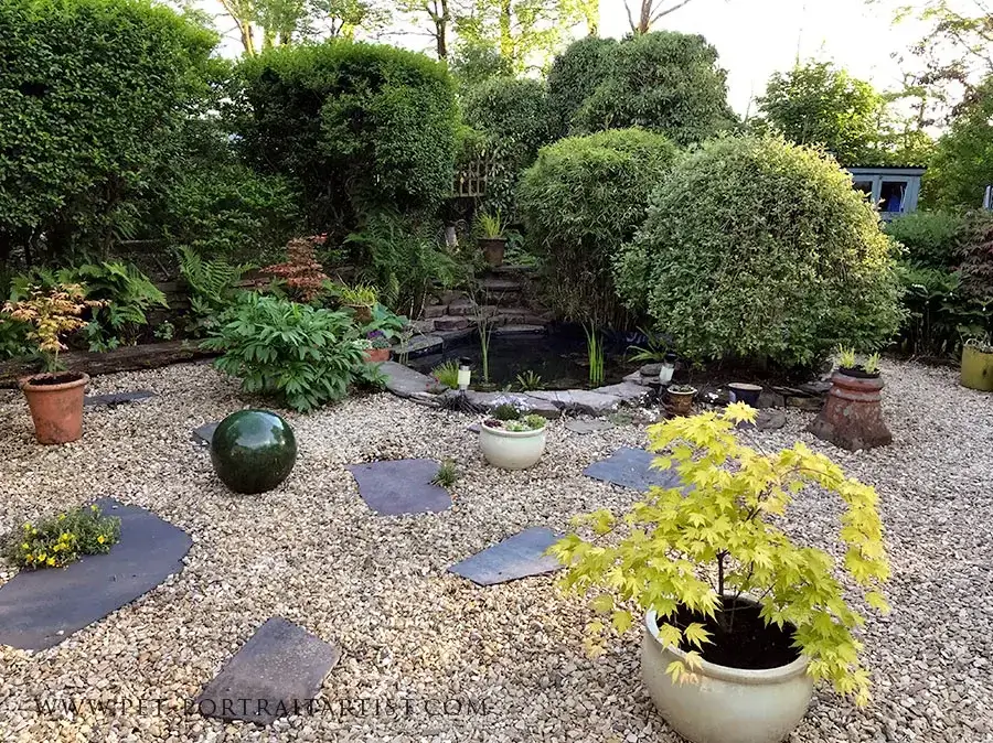 Wildlife pond surrounded by natural planting