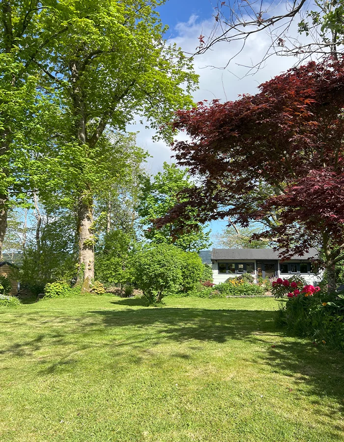 Path leading down to the peaceful garden art studio nestled beneath trees.