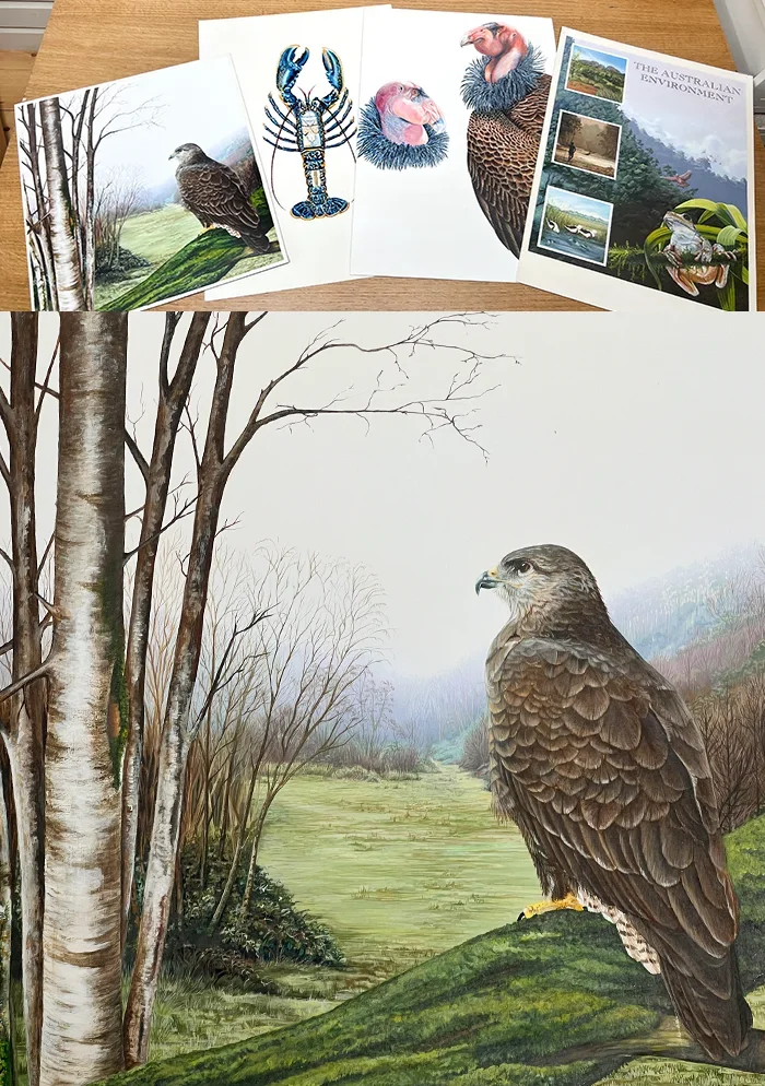 Natural History Illustration Art Coursework from Bournemouth and Poole College of Art and Design 1994.