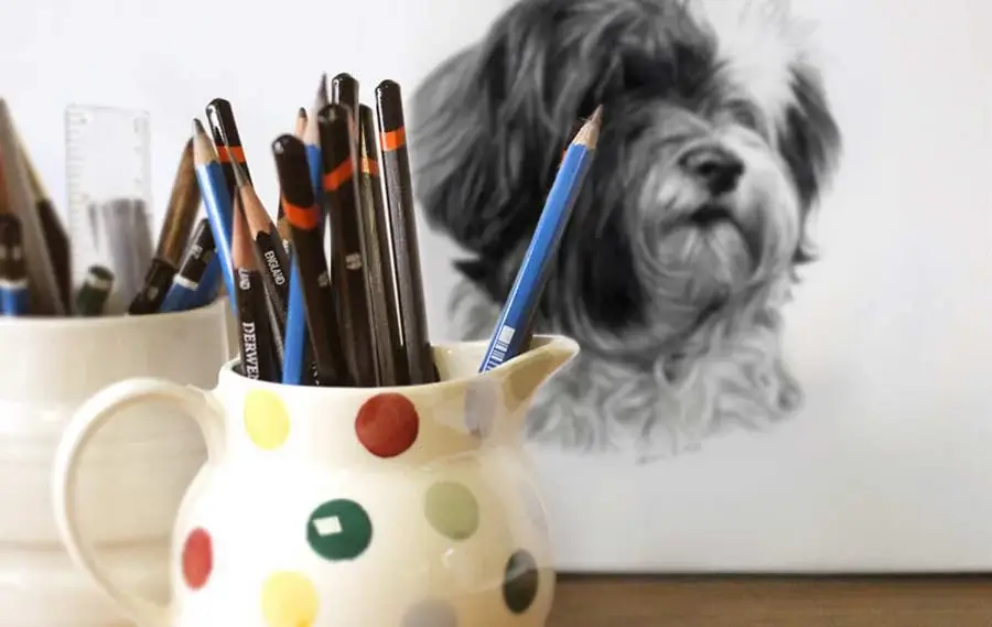 Professional drawing pencils