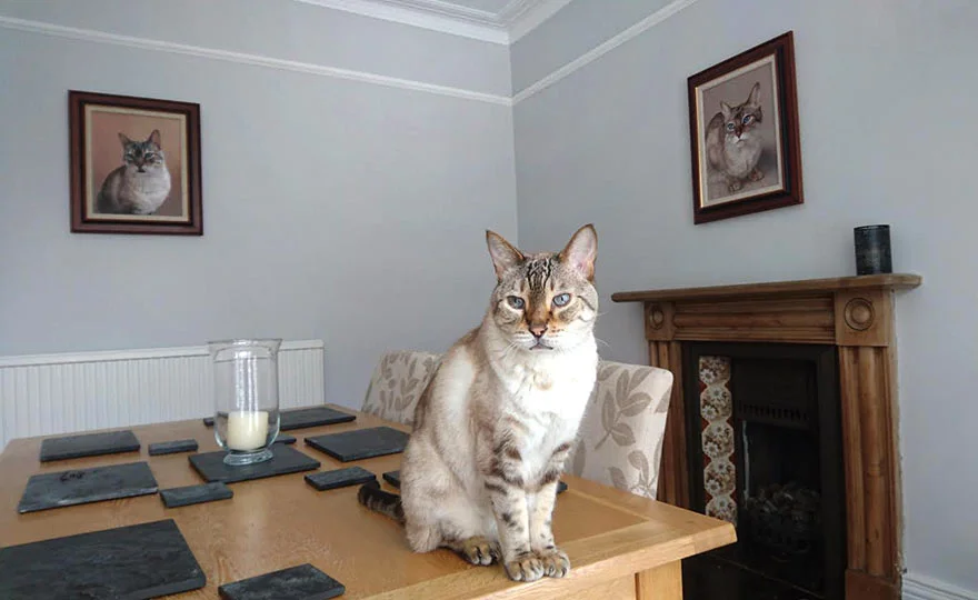 Bailey the cat posing proudly with two oil paintings of family cats, Tia and another, displayed on a wall, captured by Claire.